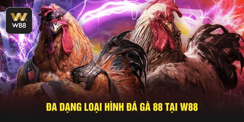 Đa dạng loại hình đá gà 88 tại W88