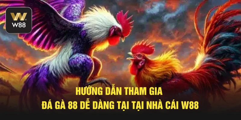 Hướng dẫn tham gia đá gà 88 dễ dàng tại tại nhà cái W88