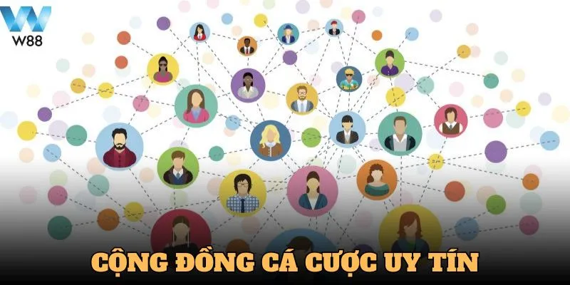 Nhà cái xây dựng được cộng đồng cá cược uy tín